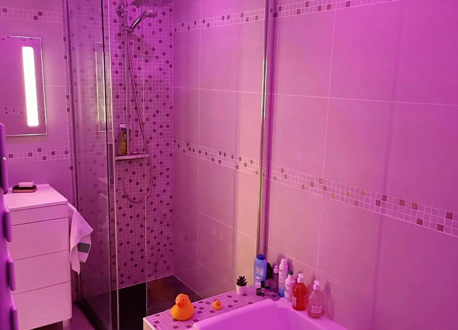 Apartment T3 - Gare -Centre Ville- Parking- Calme - Wifi - Netflix - Canalp Prime Video Annecy